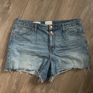 Cutoff Denim Shorts